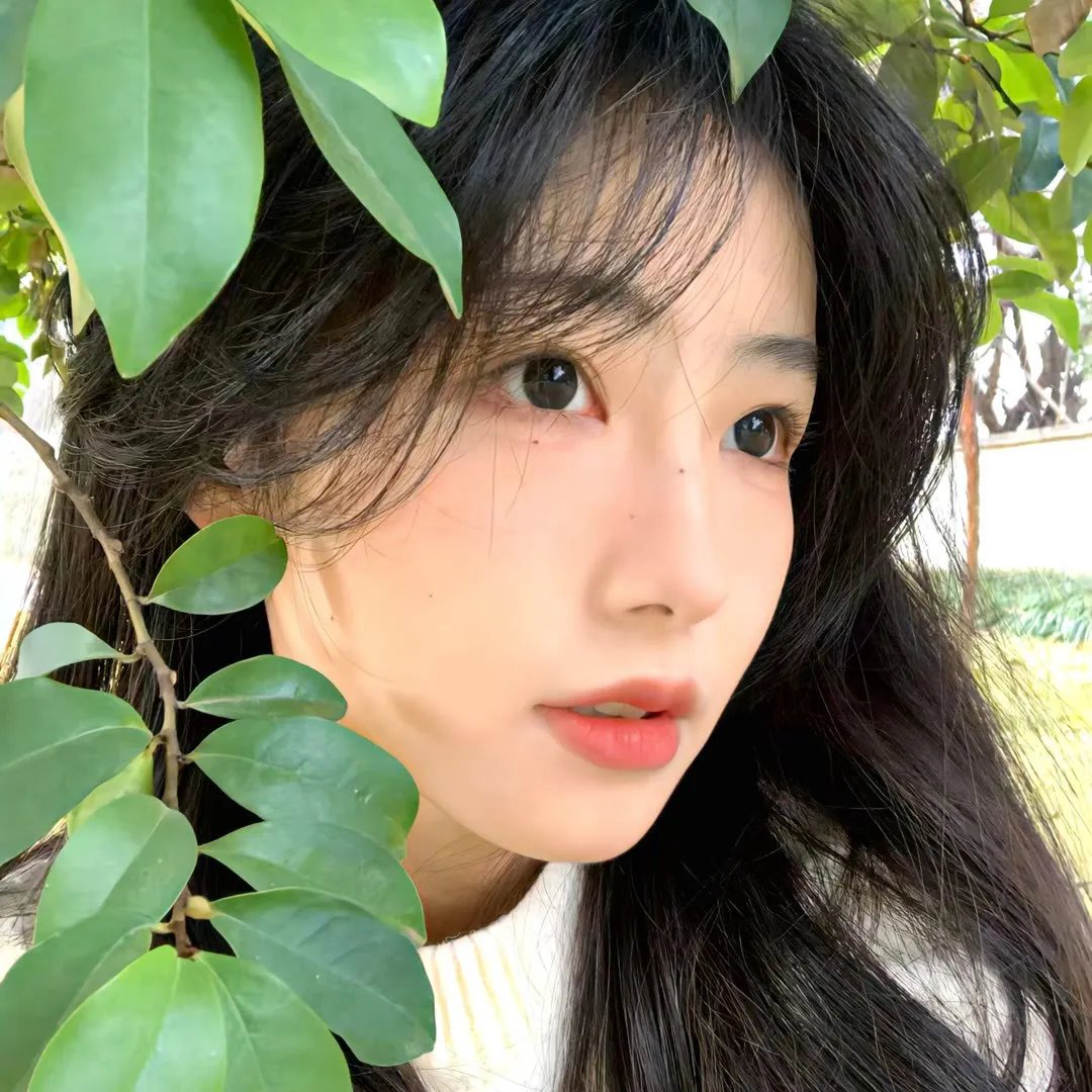 我的鲛人弟弟